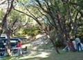 Hamelin Bay Holiday Park - MyDriveHoliday